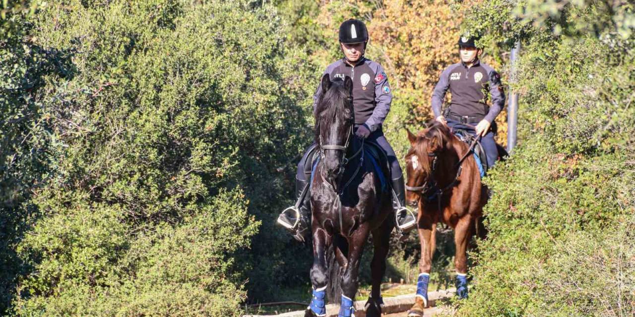 Antalya’nın Orman Ve Sahilleri Börü Ve Vinner’a Emanet