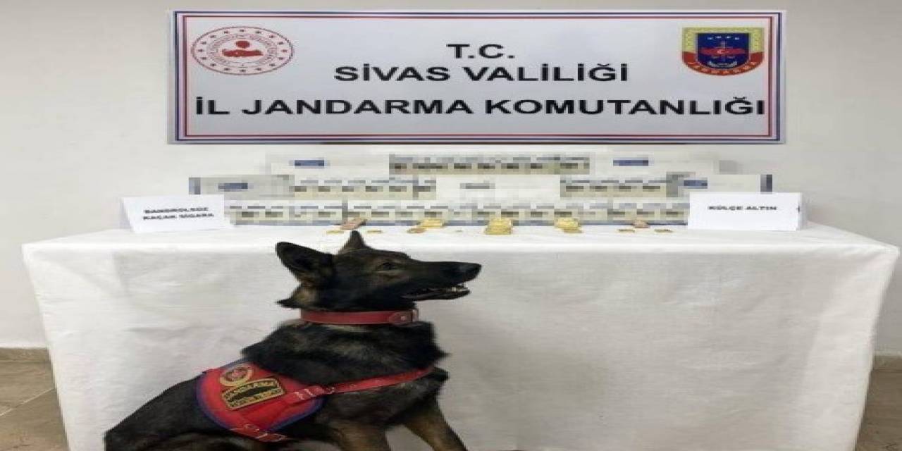 Yolcu Otobüsünden Külçe Külçe Altın Çıktı