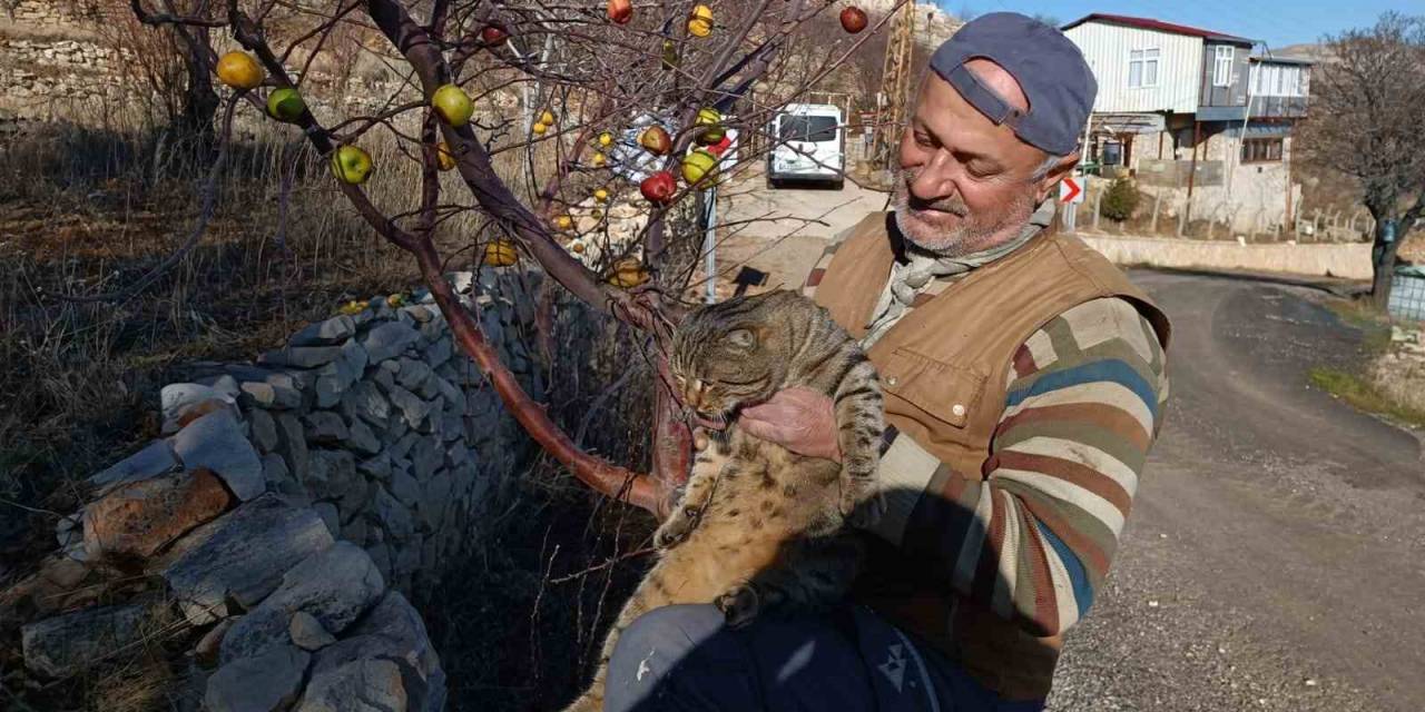 Emekli Asker Yaban Hayvanları İçin Doğaya Yem Bırakıyor