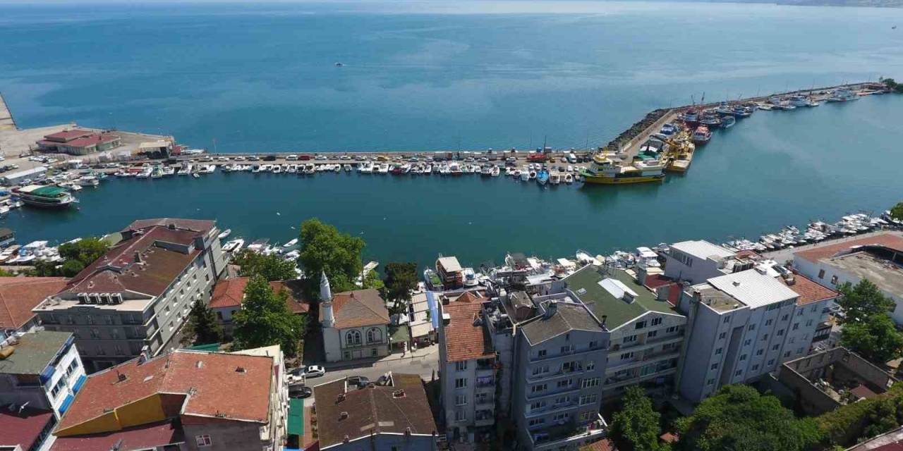 Sinop’un Dış Ticareti Yüzde 54,8 Arttı