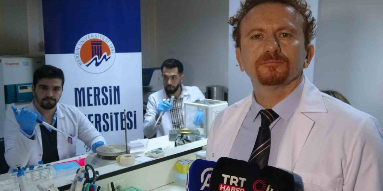 Dünyada İlk: Kalp Damar Hastalıkları İçin Spesifik "Gen" Grupları İnceleniyor