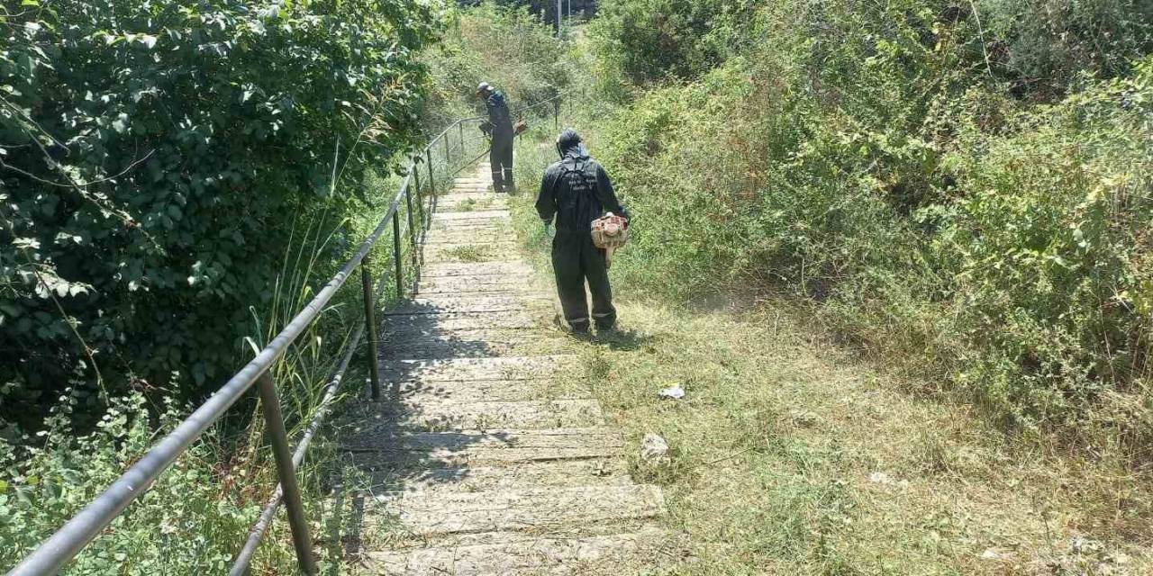 Vatandaşlardan Gelen Taleplerin Yüzde 95’ini Karşıladılar