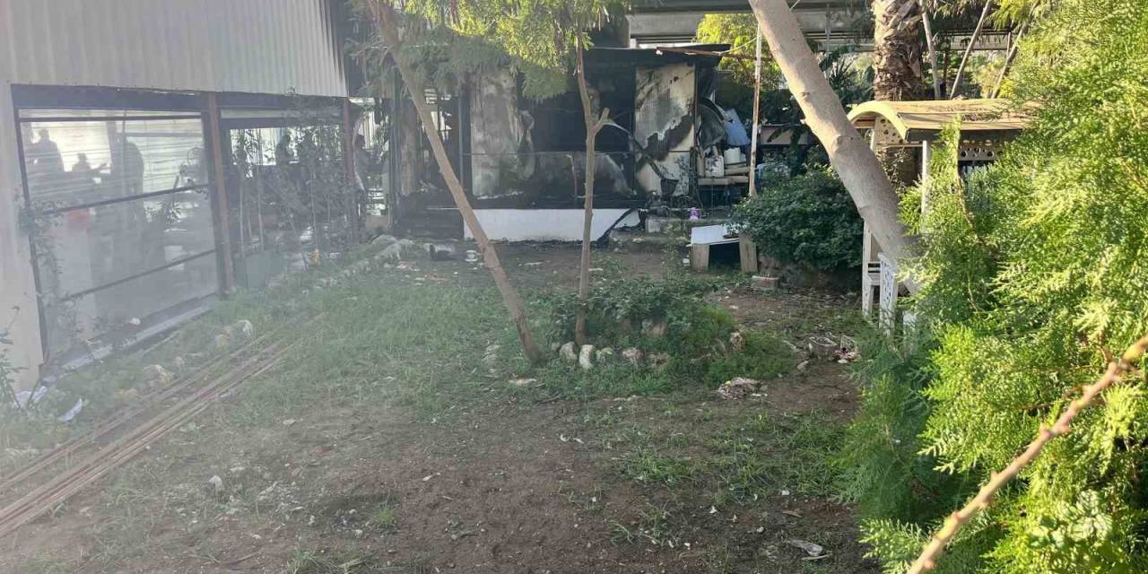 Kafe Küle Döndü, 97 Yaşındaki Adam Ağır Yaralandı