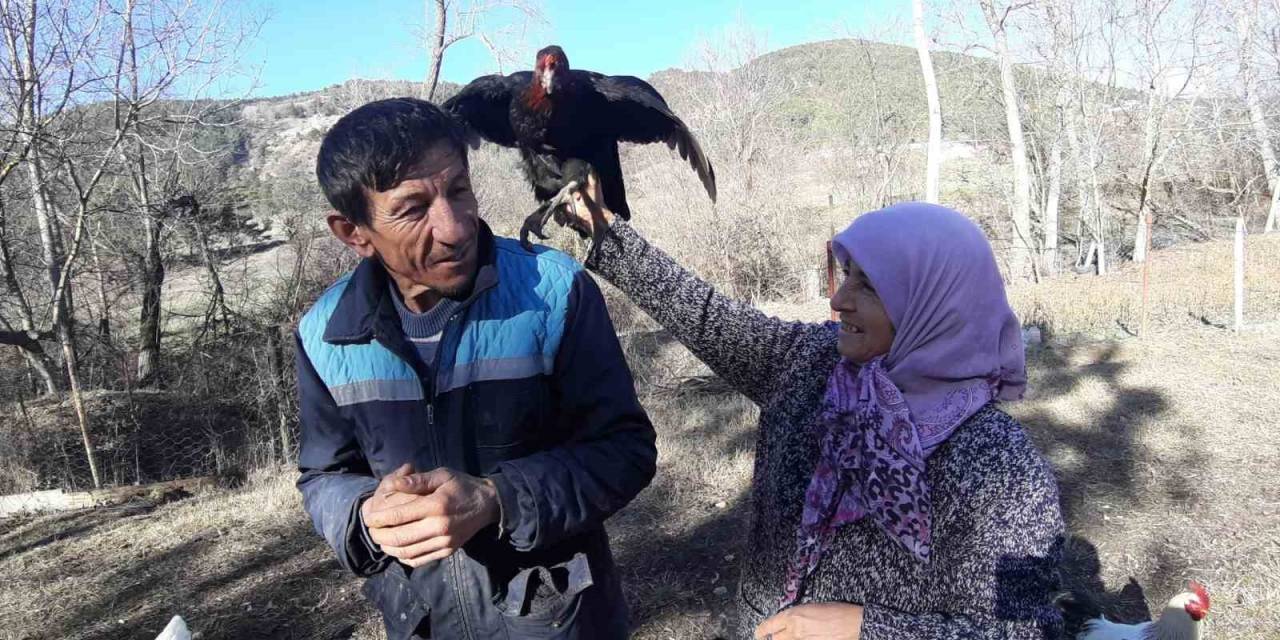 Hobi Olarak Başlamışlardı, Artık Gelirlerini O Meslekten Sağlıyorlar