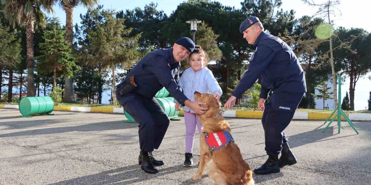 Jandarma Köpeği Rio’dan Miniklere Gösteri