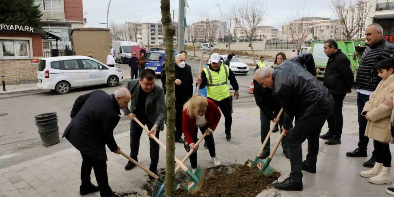 Büyükçekmece’de 2024 Yılına 24 Mahallede Ağaç Dikerek Girildi