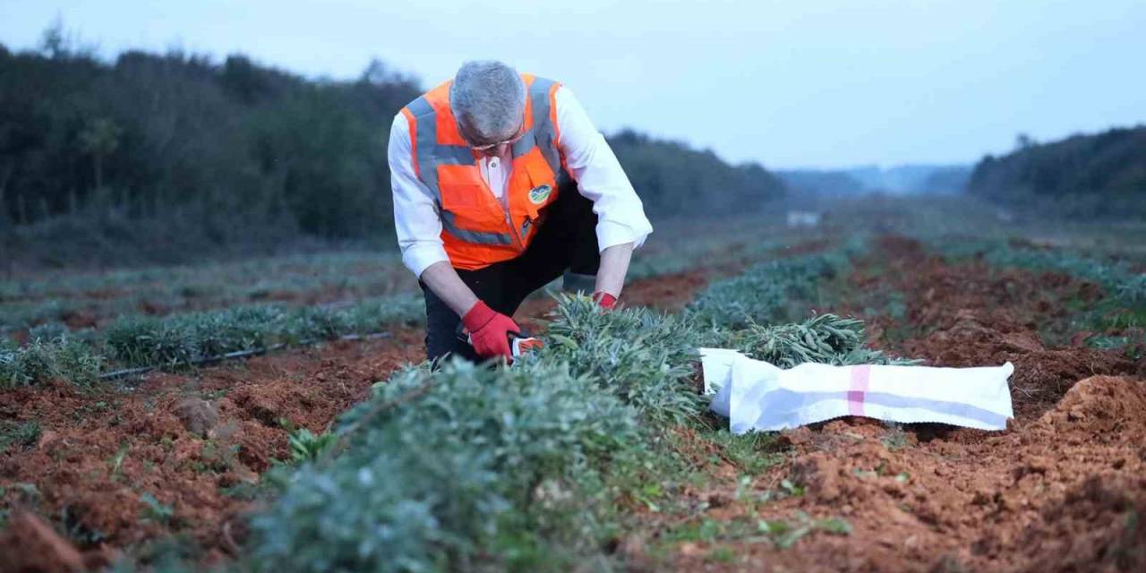 Başkan Yüce: “Dünya Tarım Şehri Unvanını Şehrimize Getireceğiz”