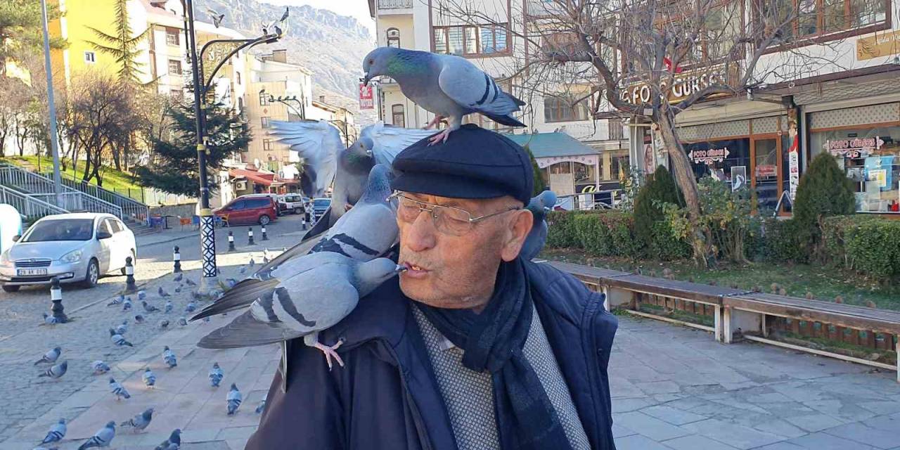 Güvercinleri Ağzıyla Besliyor