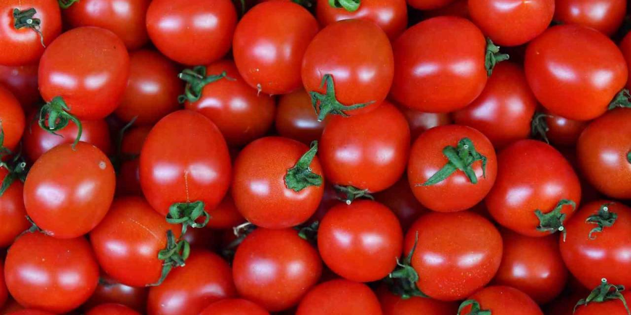 Ankaralılar 2023 Yılında En Çok Domates Ve Karpuz Tüketti