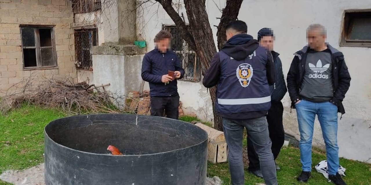 Kütahya’da Horoz Dövüşüne Polis Baskını