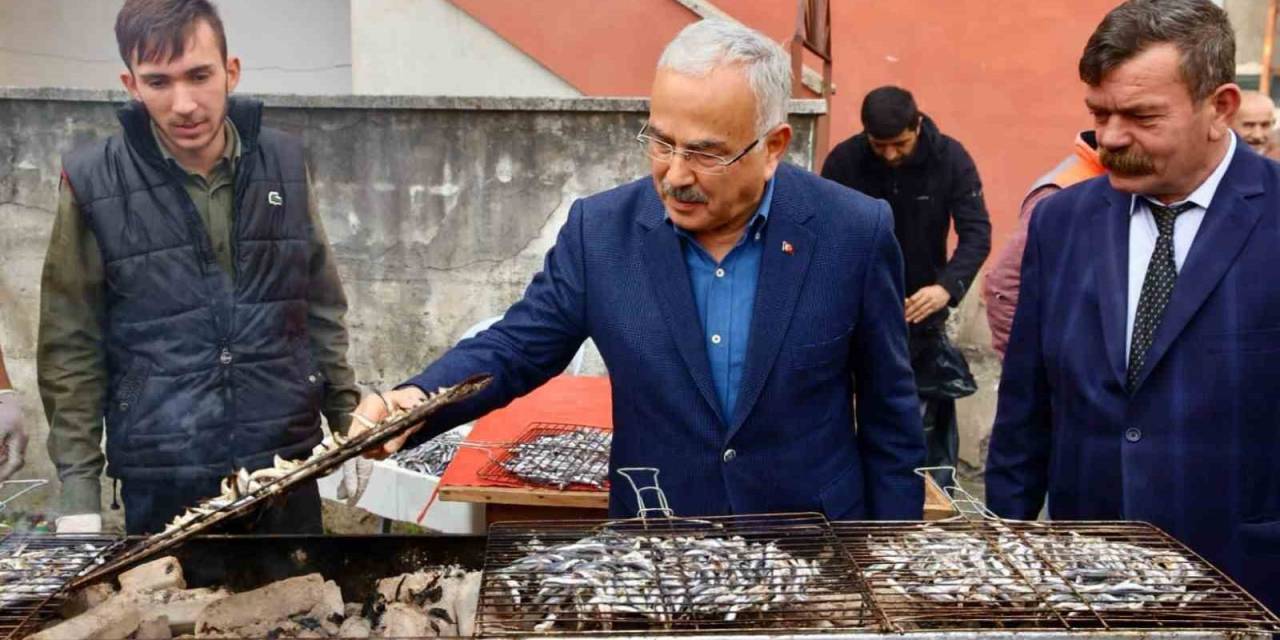 Sakin Şehirde Hamsi Şenliği