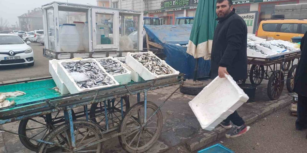 Malazgirt’te Balık Bolluğu Yaşanıyor