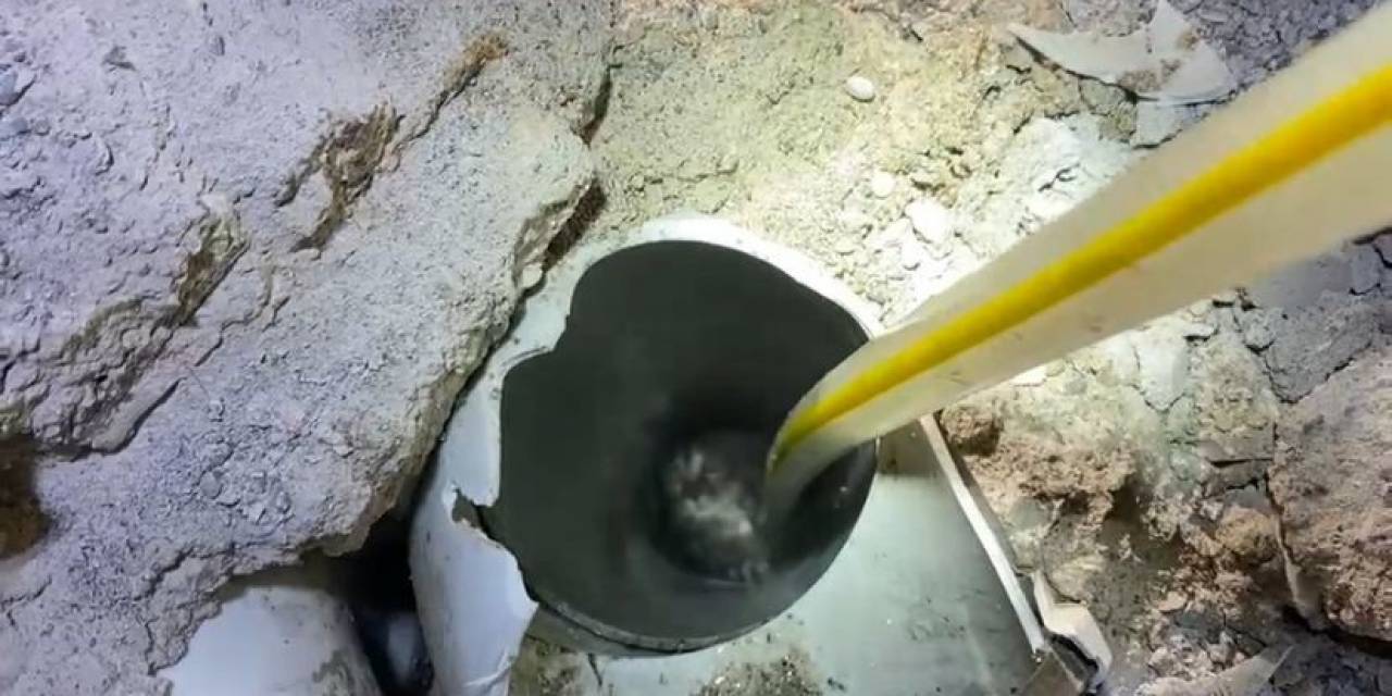 Gider Borusunda Mahsur Kalan Kedi Böyle Kurtarıldı