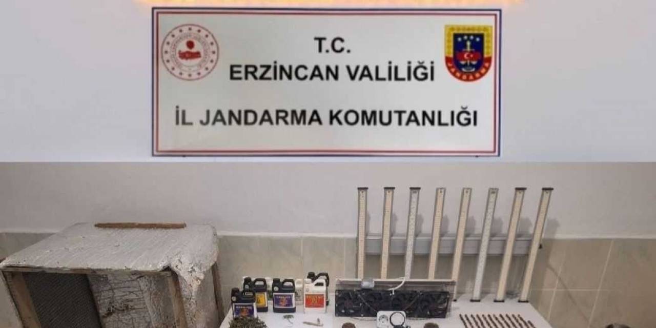 Evinde Uyuşturucu Yetiştiren 1 Kişi Gözaltına Alındı