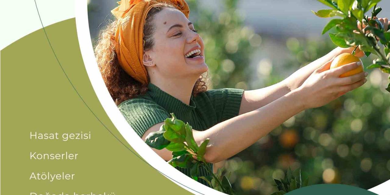 Bn Hotel, Mandalina Festivaline Ev Sahipliği Yapacak