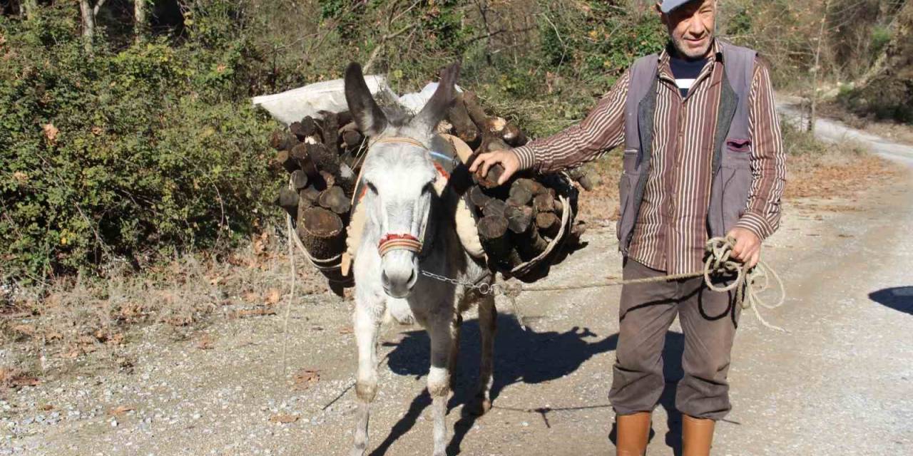 Araç Kullanamadığı İçin Eşekle Yük Çekiyor