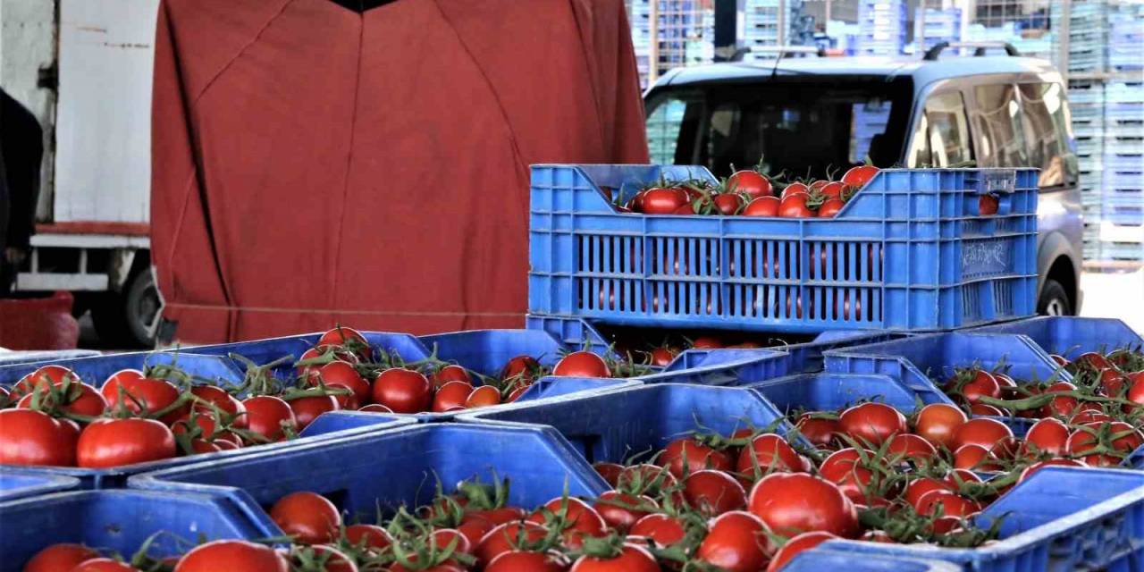 Antalya’da Sebze Miktarı Azaldı, Fiyatlar Arttı