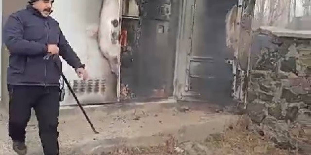 Kars’ta Alev Alev Yanan Trafo Söndürüldü