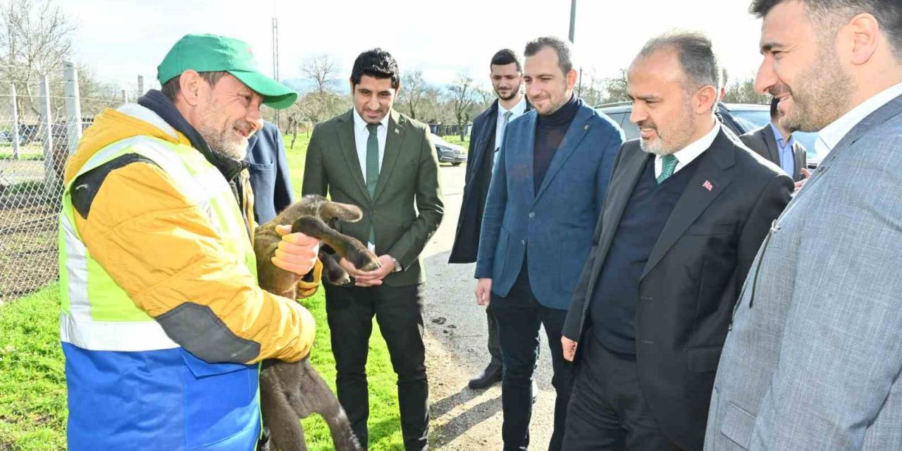 Büyükşehir’le Çaresiz Değilsiniz