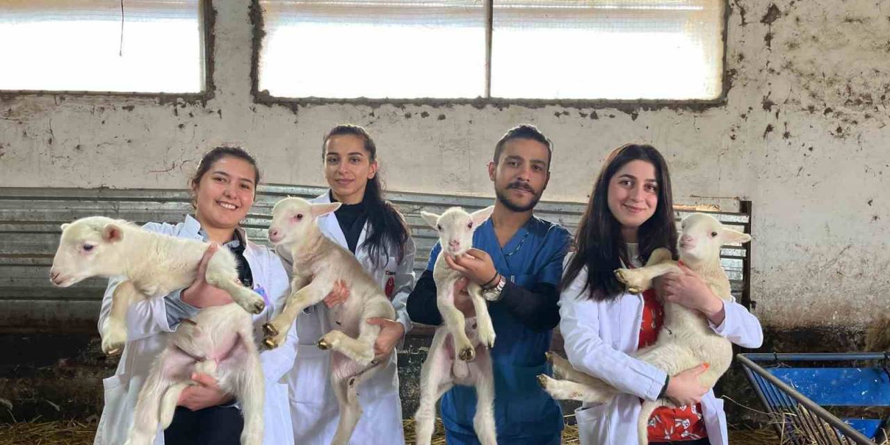 Baün Veteriner Fakültesi Öğrencileri, “Yetiştirme Çiftliğinde” Pratik Kazanıyor