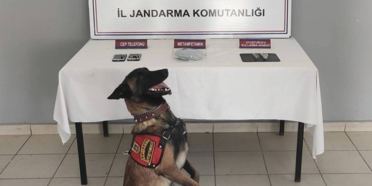 Zonguldak’ta Jandarmadan Uyuşturucu Operasyonu
