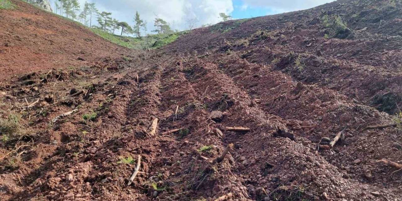 Marmaris’in İlk ’bal Ormanı’ İçin Tüm Hazırlıklar Tamamlandı