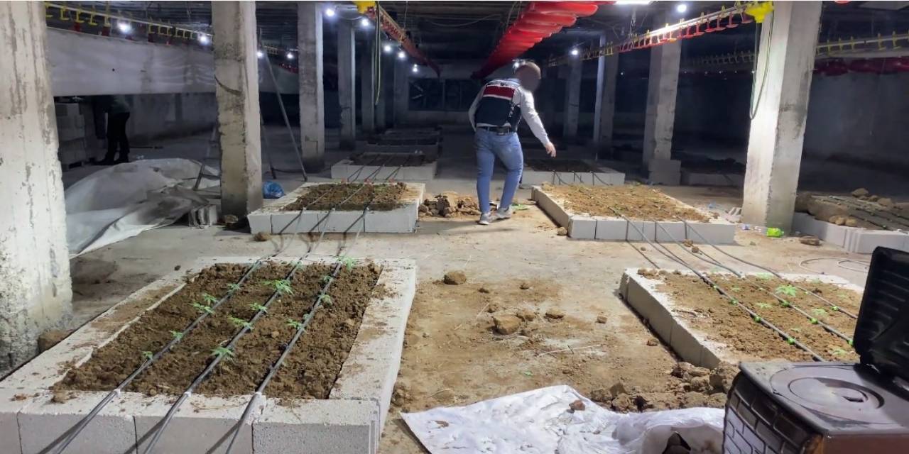 Tavuk Çiftliğine Uyuşturucu Operasyonu: 1 Şüpheli Tutuklandı
