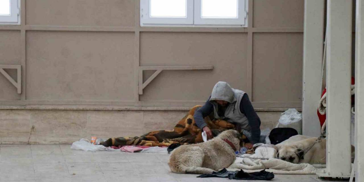 Köpekleriyle Şadırvanı Mesken Tuttu, Cami Cemaati Abdest Alamaz Oldu