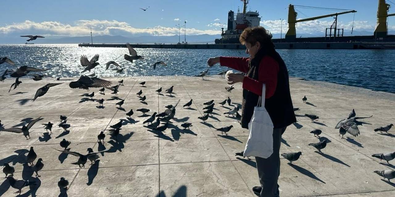 Her Sabah Sahildeki Kuşları Yemliyor