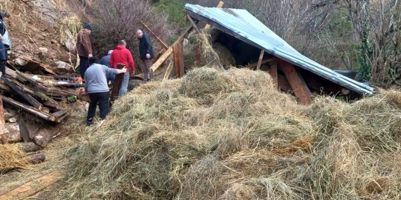 Artvin’de Ahır Çöktü: 2 Hayvan Telef Oldu