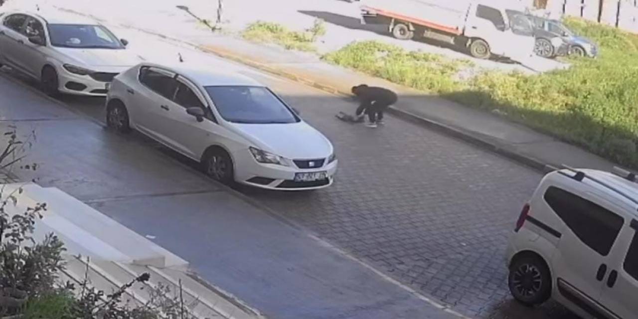 Otomobilin Çarpıp Kaçtığı Kedi, Sahibinin Kucağında Öldü