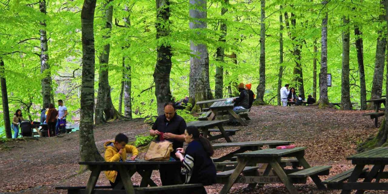 Bolu’nun Doğa Harikasında İnsan Faaliyetleri Doğal Dengeyi Bozuyor