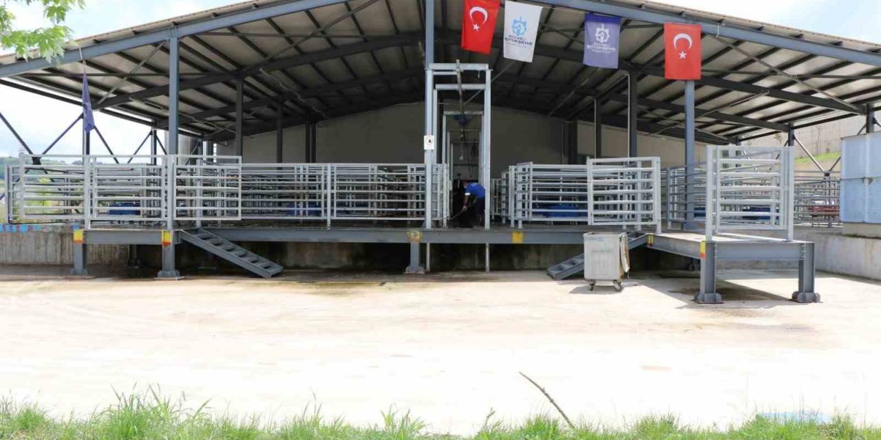 İnsan Sağlığını Koruyan Teknoloji İle Seri Ve Helal Kesim