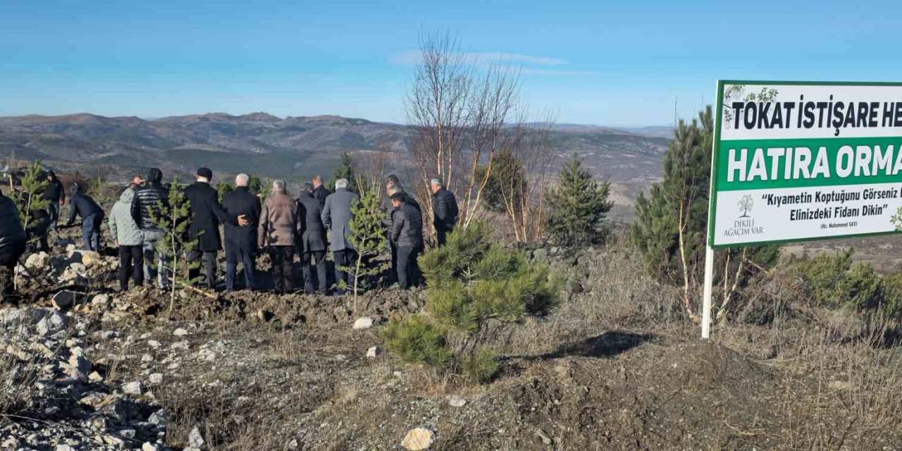 Soğuk Havaya Aldırmayan Tokatlılar Fidan Dikmek İçin Birbirleriyle Yarıştı