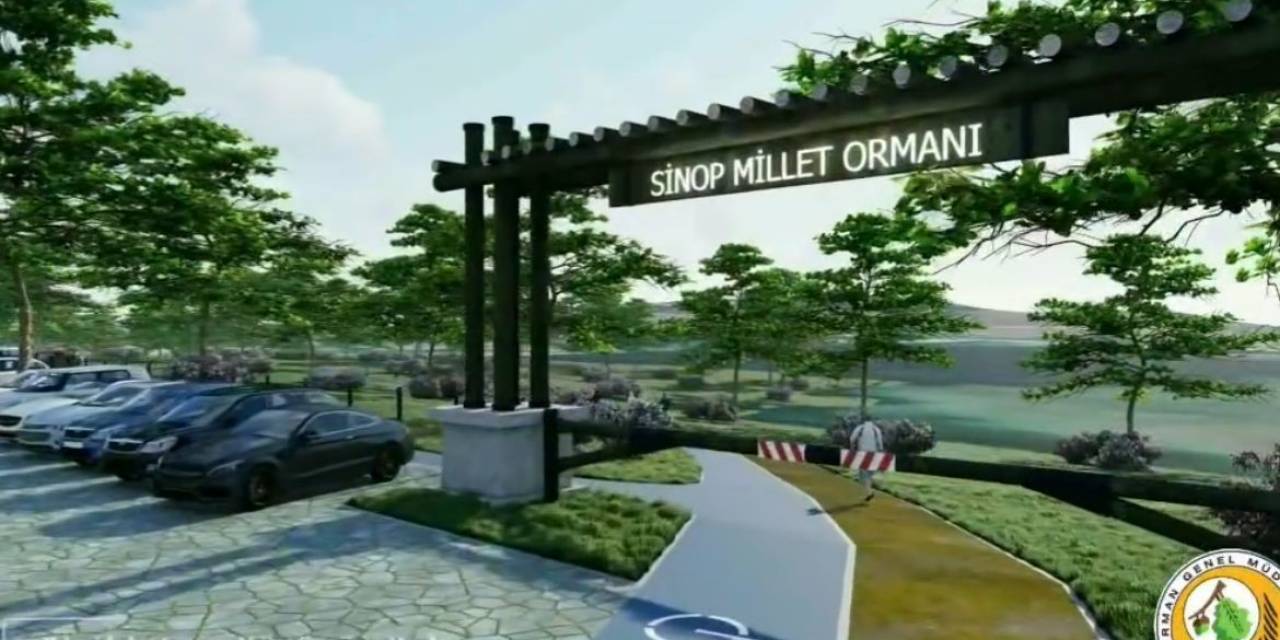 Sinop Millet Ormanı Bu Yıl Tamamlanacak