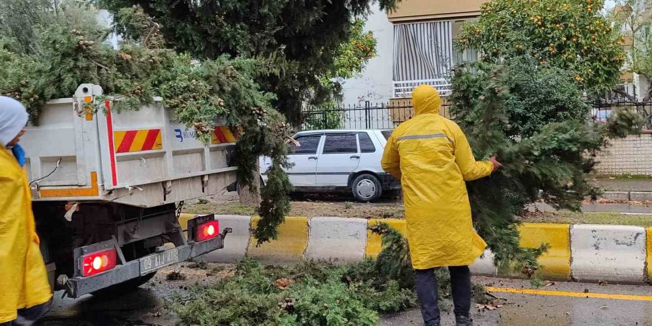 Aydın Büyükşehir Belediyesi Tehlikeyi Yok Etti