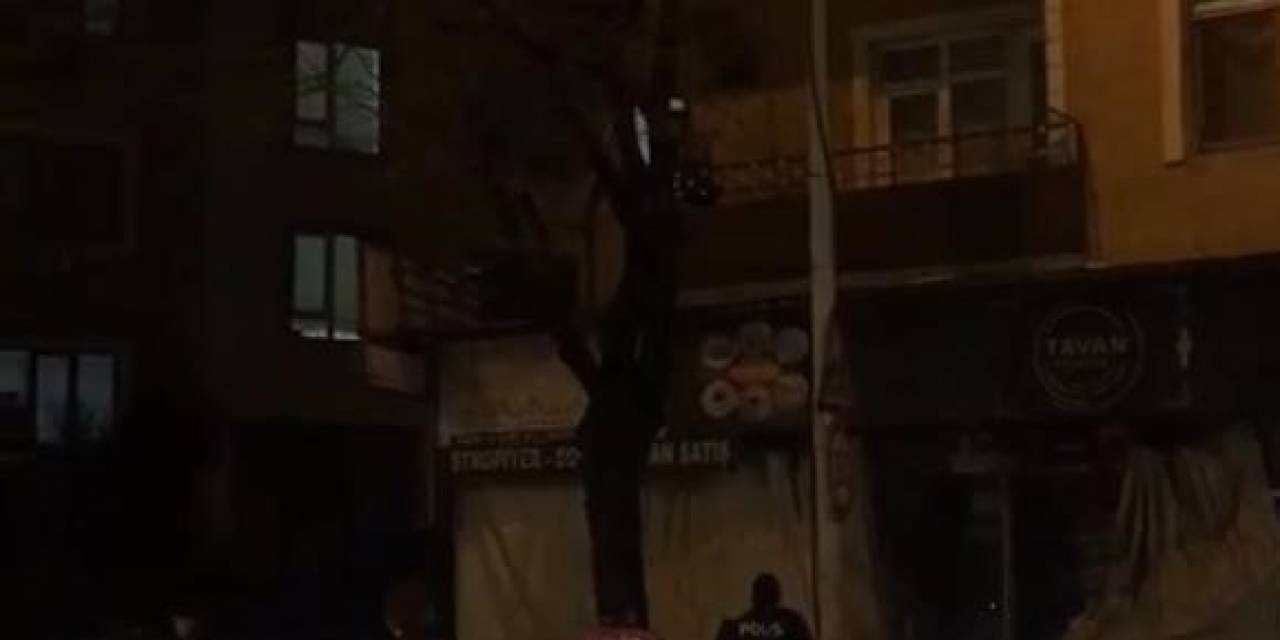 Hırsız Örümcek Adam Gibi Tırmandığı Balkonda Yakayı Ele Verdi