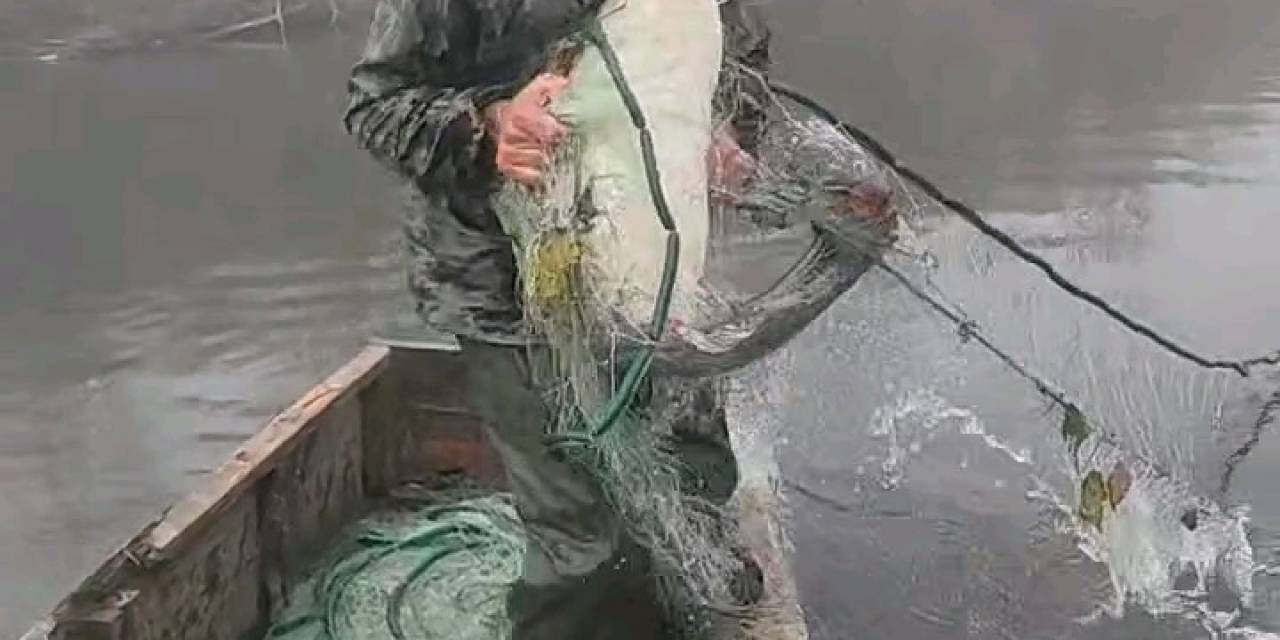 Kayık Dolusu Balık Tutan Trakyalının Coşkusu