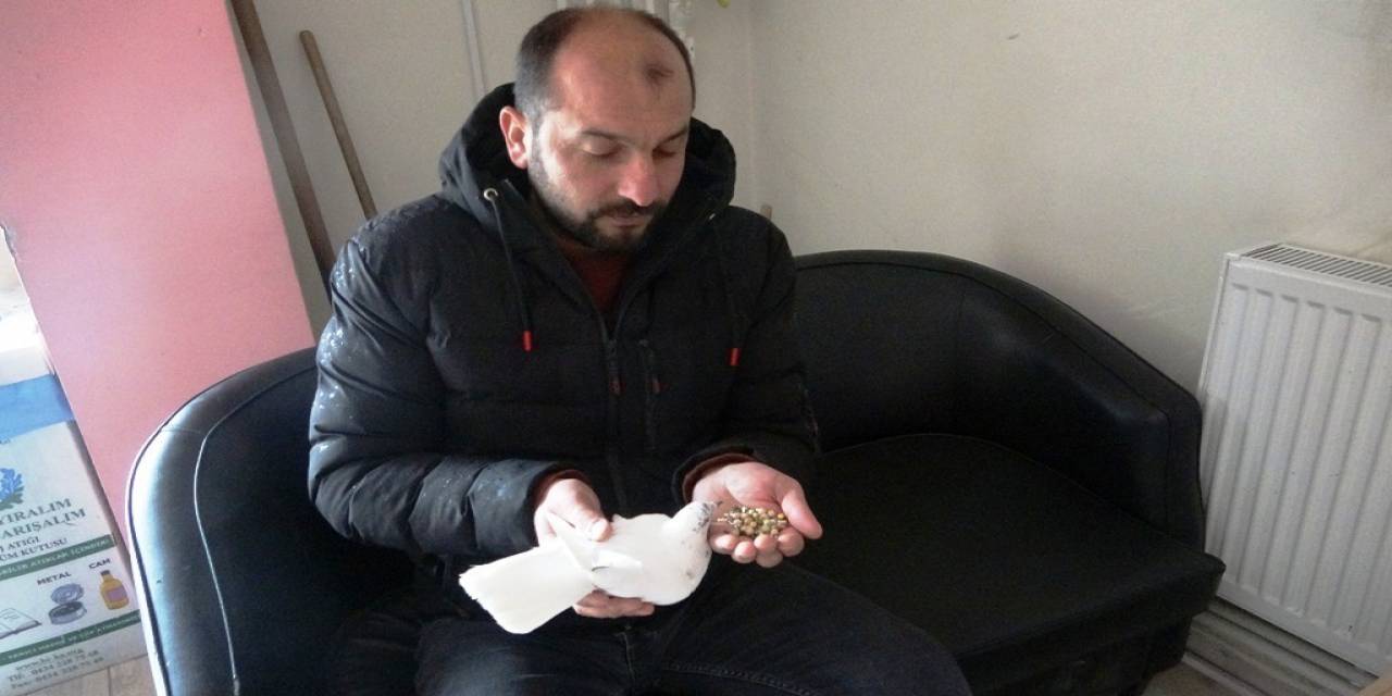 Kar Altında Kalan Güvercine Esnaf Sahip Çıktı