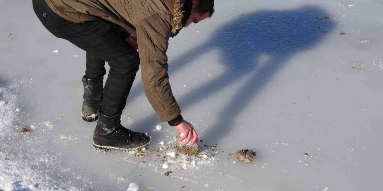 Bitlis’te Göletler Dondu