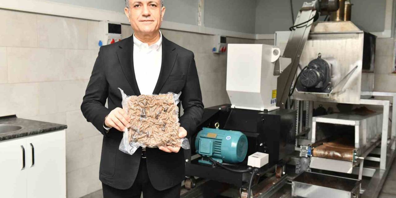 Esenyurt Belediyesi’nden, Sokak Hayvanları İçin Mama Üretim Tesisi