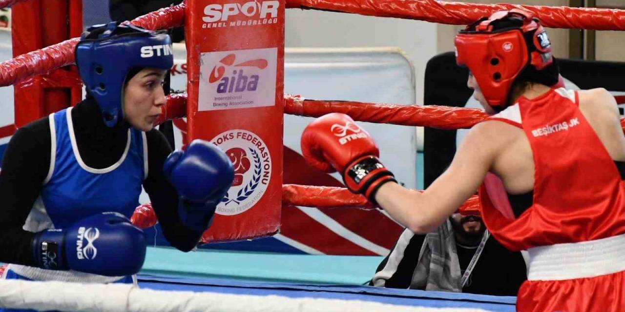 33 İlden 119 Boksör Kocaeli’de Mücadele Edecek