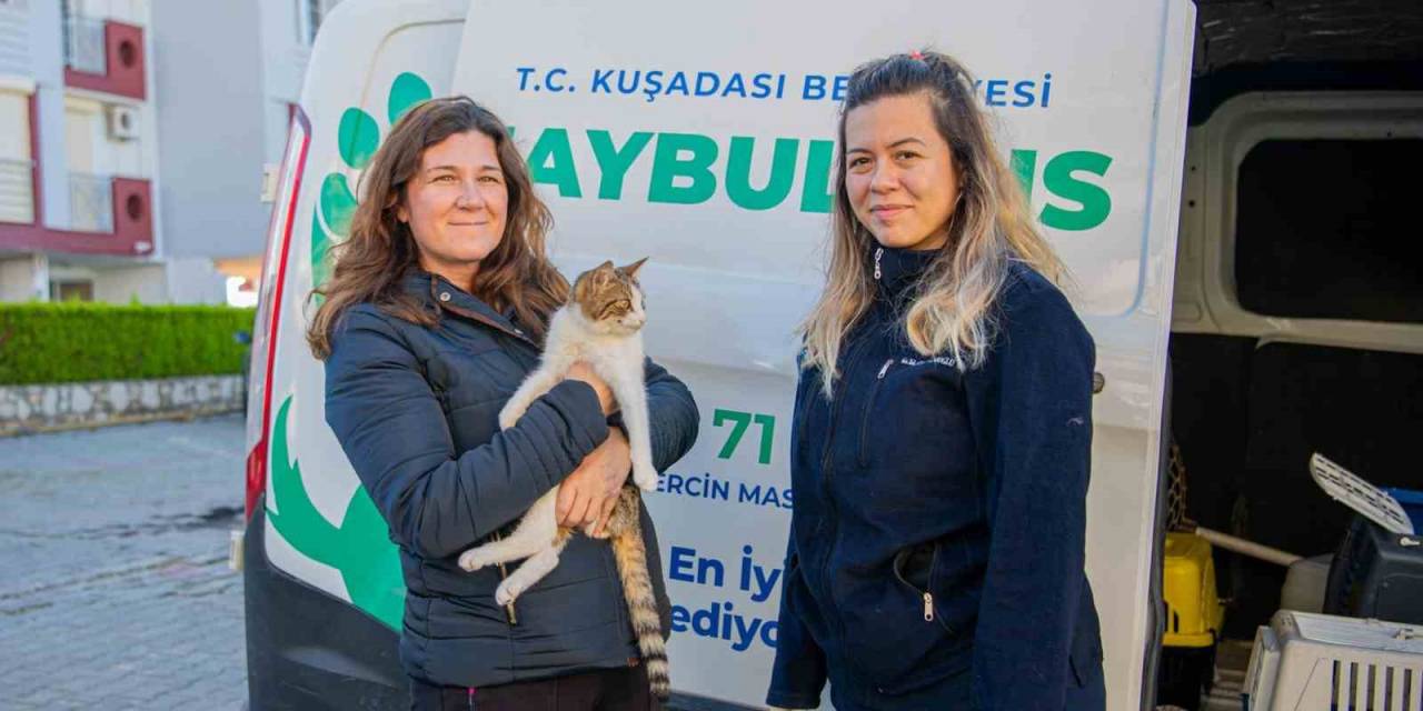 Kuşadası Belediyesi’nin Haybulans’ı 78 Bin Hayvana Müdahale Etti