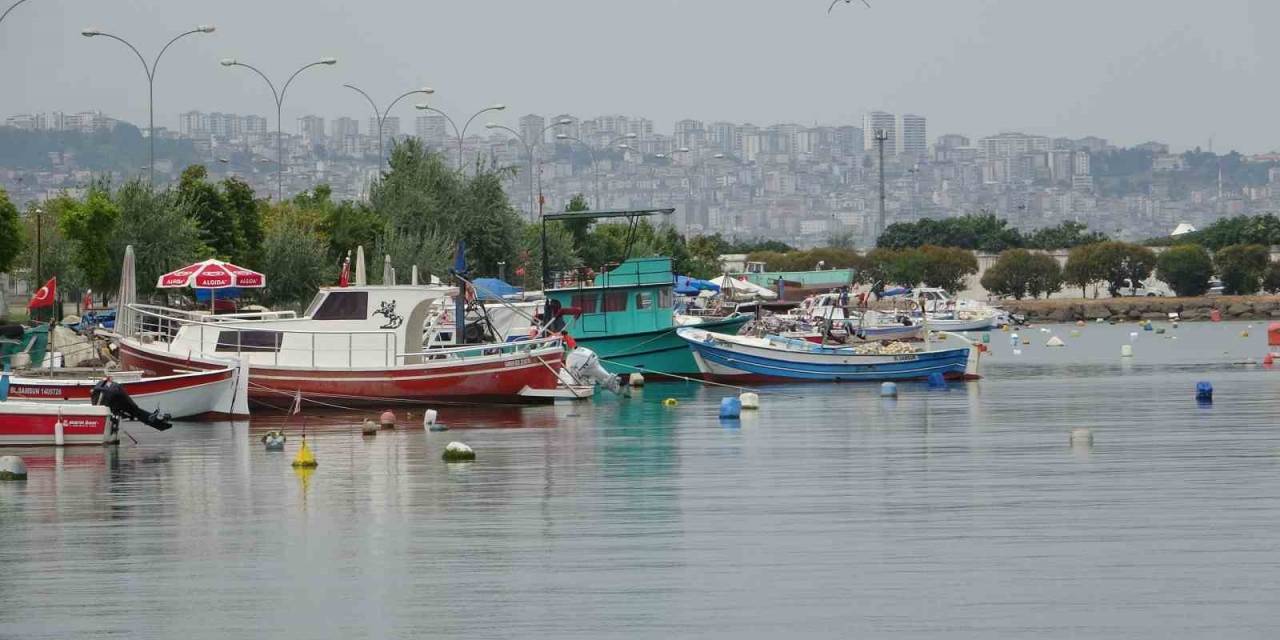 Balıkçılara Gemilerinin Boy Uzunluğuna Göre Destek Ödemesi Yapılacak