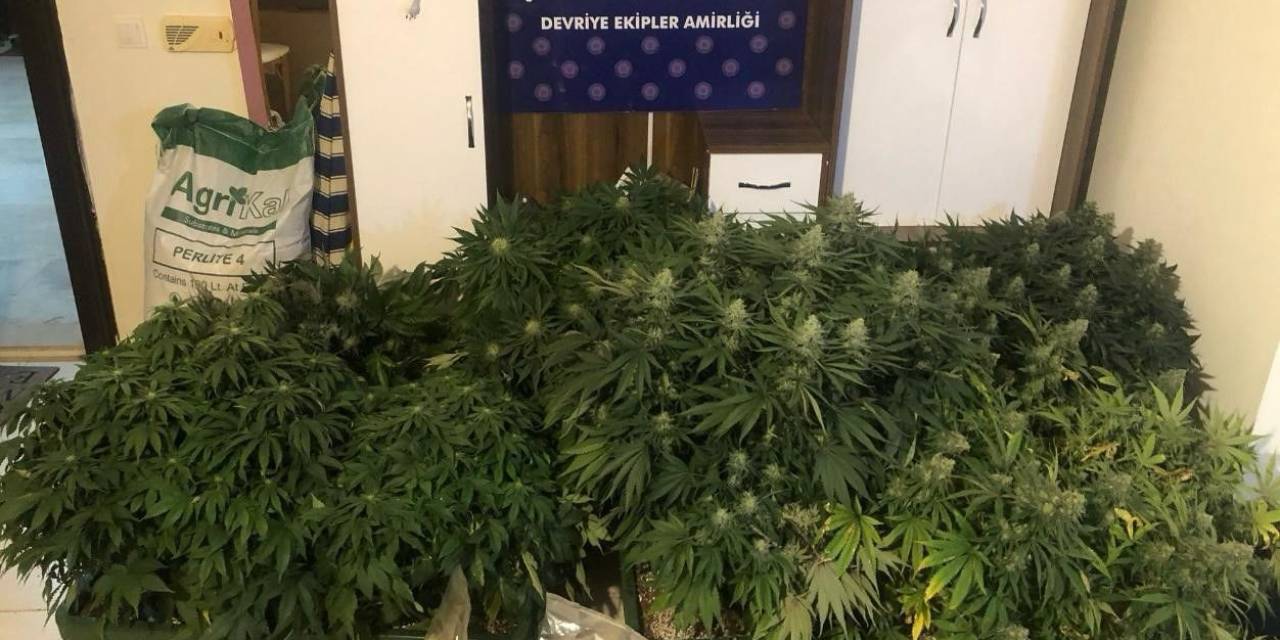Kaldığı Evi Uyuşturucu Serasına Çevirdi
