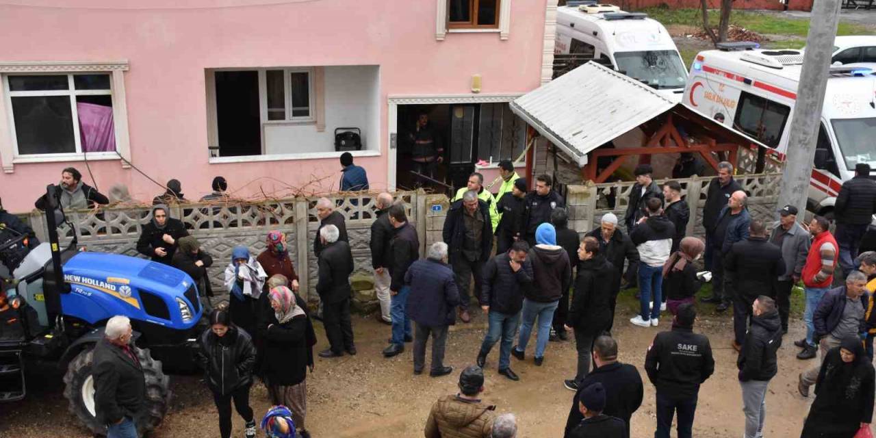 Sakarya’da Acı Olay: Asırlık Çınar, Yanarak Hayatını Kaybetti