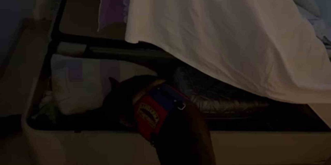 Bazanın İçerisindeki Uyuşturucuyu Narkotik Köpeği Buldu