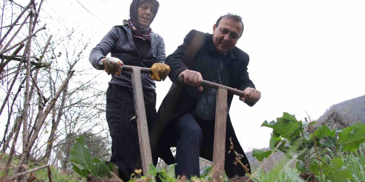 Bağımsız Aday 1 Oy İçin Tarla Belliyor