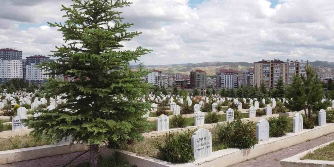 İstanbul Belediyesinde 69 Bin Tl, Sivas Belediyesinde Bedava