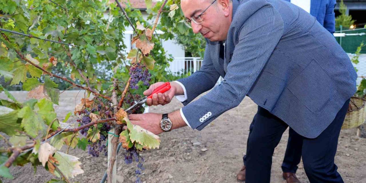 2023’ün En İyi Rotası Meram Bağı